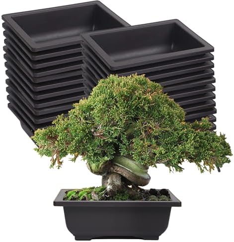 KINJOEK 25 PCS 6.5 Inch Plastic Bonsai Training Pots, Rectangular Plant Bonsai Tree Pot