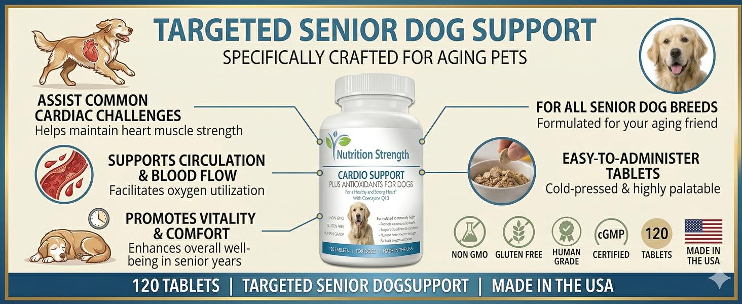 Targeted Senior Dog Support