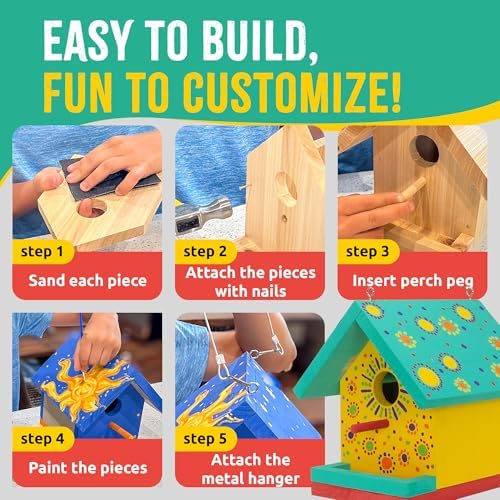 Jr Bird House Kit, DIY Cedar Wood Birdhouse for Outdoors with Paint