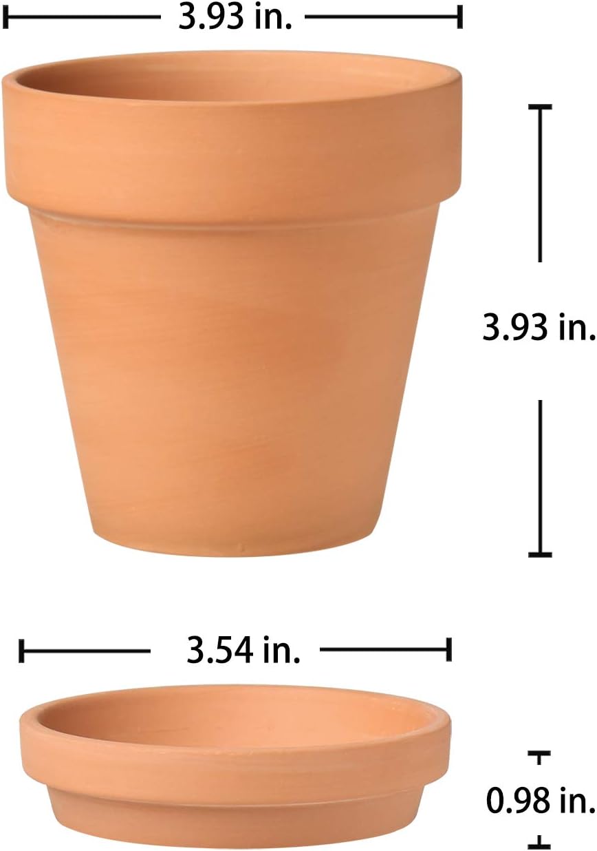 Briful 4 Shallow Terracotta Pots 5.5"x2.8" Flower Pots Clay Pottery Planter with Drainage Hole - Great for Cactus, Succulent Plants and Crafts