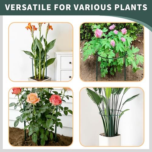 TCBWFY 10 Pack Garden Plant Support Stakes, 10" Widex16 High Heavy Duty Interlinked Half Round Peony Support Ring Cage for Indoor Outdoor Plants