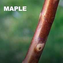 maple