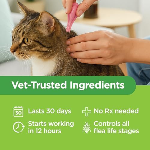 TevraPet Actispot II Flea Treatment for Large Cats 9+ lbs | 6 Doses | Powerful Prevention and Control