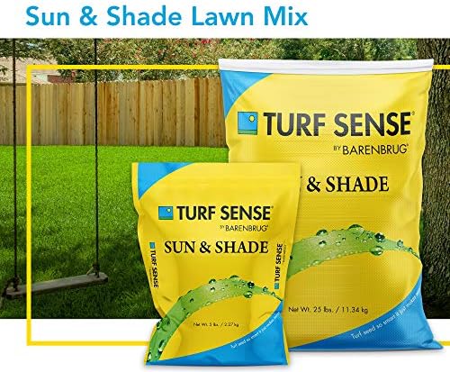 Barenbrug 25625 Turf Sense Grass Seed Grows in Areas of Sun and Partial Shade, 25 LB Bag