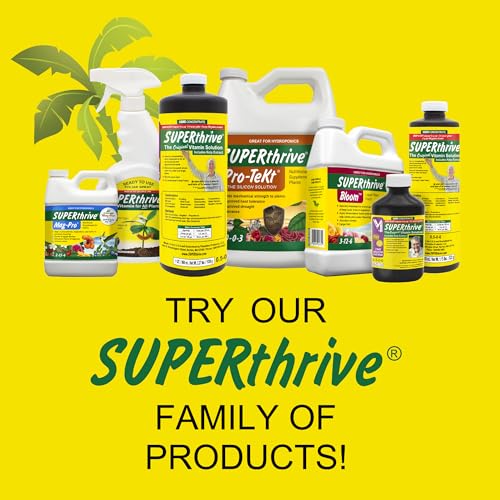 SUPERthrive 5 Gallon (1/Cs) | 0.5-0-0 formula with kelp extract. For indoor/outdoor plants, houseplants, trees. Reduces shock, even for large trees.