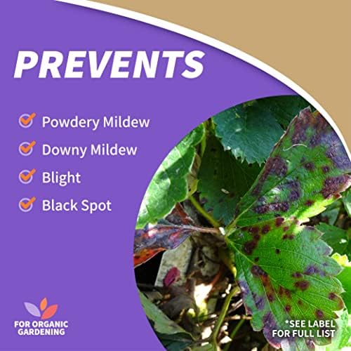 Bonide Captain Jack Copper Fungicide 16 oz Concentrated Plant Disease Control Solution for Organic Gardening | Plant Disease Control Solution, For Organic Gardening