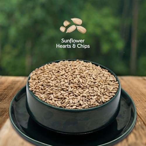 Morning Song Sunflower Hearts & Chips Wild Bird Food, No Mess Sunflower Seeds for Birds, 5.5-Pound Bag | No Mess Sunflower Seeds for Birds
