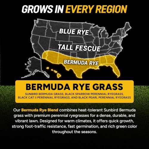 Growtrax Biodegradable Grass Seed Mat & Fertilizer - 100 Sq Ft Bermuda Rye | Grass Seed for Lawns, Dog Patches & Shade, Just Water and Grow