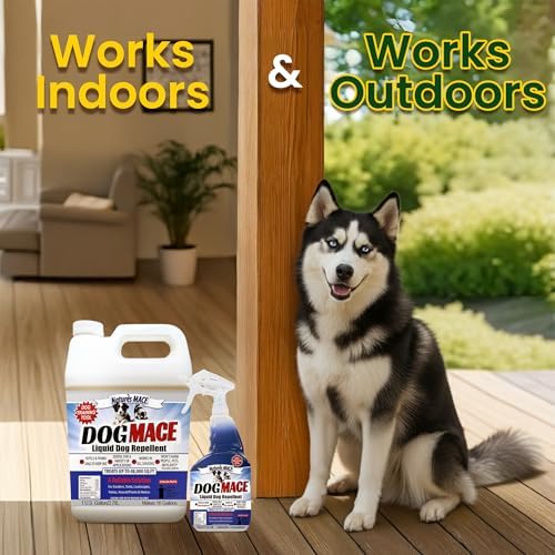Nature's MACE Dog Mace Dog Repellent 1 Gallon Concentrate | Potty Training Tool Spray, Indoor & Outdoor, Pee Deterrent, Safe Around Kids, Pets, Garden & Plants, Treats 48,000 Sq. Ft.