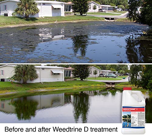Weedtrine D Aquatic Herbicide 1 Gallon Spray for Fast, Broad-Spectrum Control of Duckweed, Floating, Submersed & Emergent Weeds, Professional-Grade