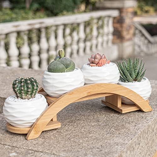 E-liu Eliu Cute Small Ceramic Succulent Pots and Stand Set, Pack of 4 | White Succulent Planter Pot with Drainage Fits Well In Windowsills