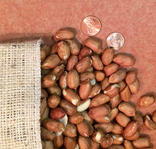 Aunt Rubys, Peanuts Raw Shelled, 48 Ounce