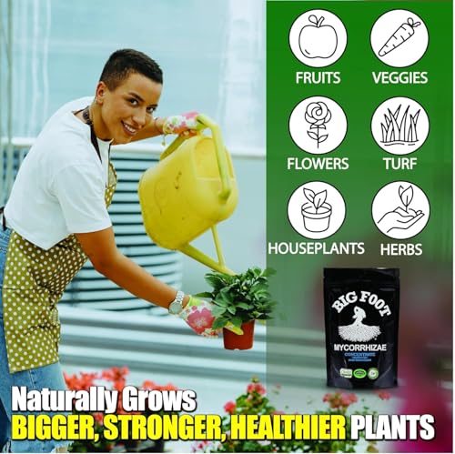 Big Foot Mycorrhizae for Plants, Potted Plants and Gardens - Concentrate Fully Dissolves in Water, Year Round Organic Fertilizer for Root Growth and Healthy Soil - 32 Ounces of Mycorrhizal Inoculant