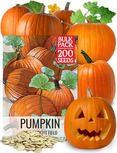 Seed Needs Pumpkin Seeds to Plant 100 Seeds Spooky Mix Non GMO Bulk Pack