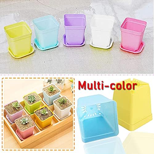 Haawooky 24 Pack Colorful Flower Pots Square Plastic Plant Pots Succulent Planter Nursery Pots with Saucers for Your Room