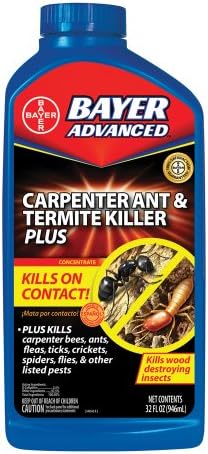 BioAdvanced Carpenter Ant & Termite Killer Plus Spray - 1 Gal Bottle | Ready-to-Use - Kills Carpenter Bees - Indoor & Outdoor Insect Control - Sprayer Included