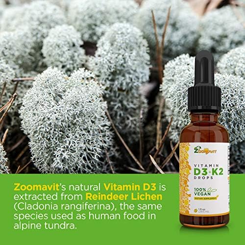 Vegan Liquid Drops Vitamin D3 K2 (MK7) - 100% Plant Based Liquid Vitamin D Enhanced with Coconut Oil for Max Absorption - 1 Serving = 1000 IU VIT D3