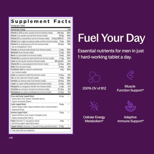 New Chapter Every Man's One Daily Multivitamin - Supports Immune, Energy & Bone Health* - Contains Fermented Ingredients, Organic Vegetables & Herbs - Vegetarian, Kosher & Gluten-Free - 48 Tablets