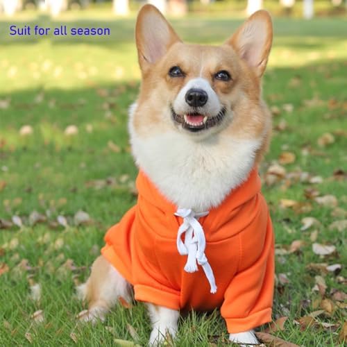 ANIAC Dog Hoodies Sweatshirt with Bunny Ears Spring Puppy Clothes for Small Dog Girl Boy Soft Doggy Sweater Cat Apparel Pet Clothing for Kitten