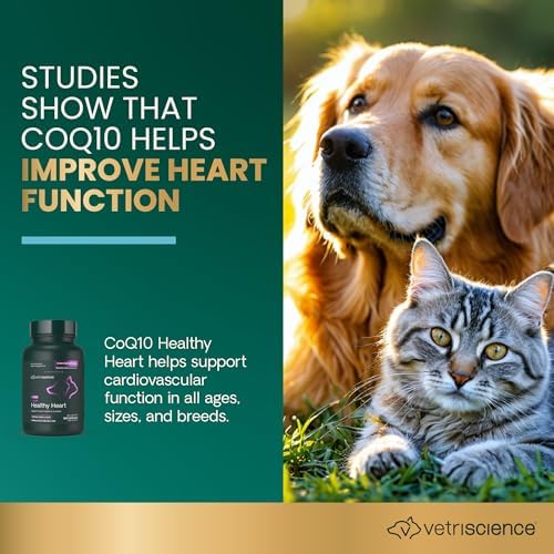 Vetri-Science VETRISCIENCE Coenzyme Q10 for Dogs and Cats, 10mg, 100 Capsules - Cardiovascular and Gum Health CoQ10 Supplement for Pets