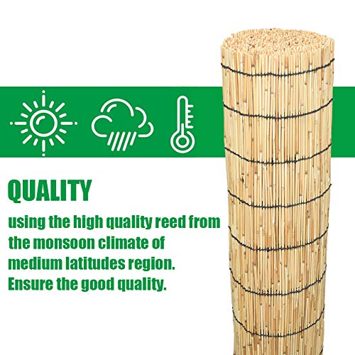 Mininfa Natural Reed Fencing, Eco-Friendly Reed Fence, 6 feet High x 13 feet Long, Reed Screen for Garden, Privacy