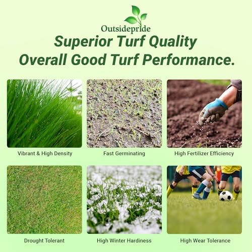 Outsidepride Royal TXD Bermuda Grass Seed Blend - 1 lb. Warm Season, Fast Growing Turf Grass Seeds: Heat & Drought Tolerant, Ideal for Home Lawns & Sports Fields, Dense & Lush Green Coverage