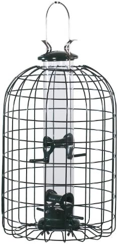Audubon Squirrel Proof Caged Tube Feeder