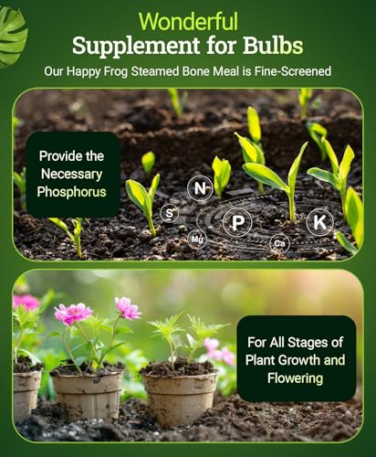 FoxFarm Happy Frog Steamed Bone Meal Fertilizer - Fine-Screened Phosphorus Fertilizer with Calcium & Mycorrhizal Fungi