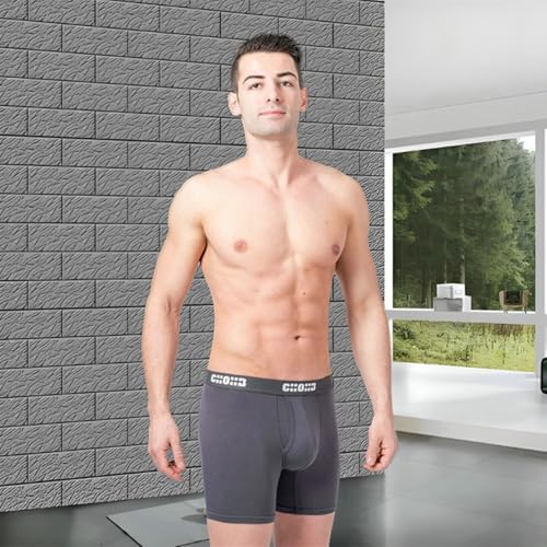 Men's Underwear Micro Modal 3 Pack Boxer Briefs Open Fly