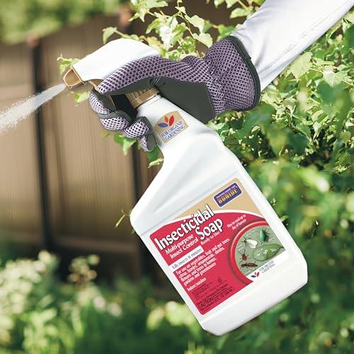 Bonide Insecticidal Soap