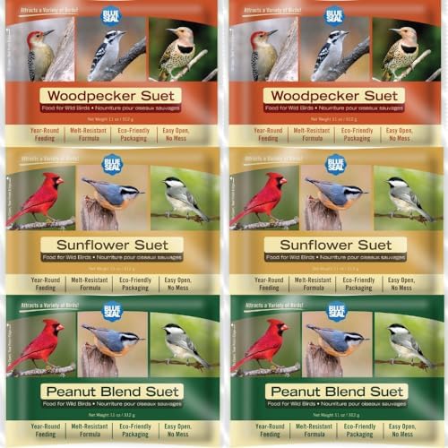 Blue Seal Nut Feast Suet Cakes for Wild Birds | No Mess Suet Feed with Variety of Nuts | Food for Woodpeckers, Cardinals