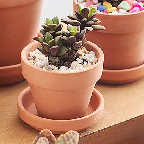 Briful 4 Shallow Terracotta Pots 5.5"x2.8" Flower Pots Clay Pottery Planter with Drainage Hole - Great for Cactus, Succulent Plants and Crafts