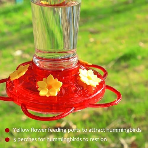 Shrdaepe Hummingbird Feeder, Glass Bottle Bird Feeders, 5 Feeding Ports, 10-Ounce Nectar Capacity