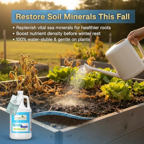 Ocean Magic Sea Mineral Fertilizer by GS Plant Foods(1 Gallon) - Soil Mineral Health Improvement Liquid Concentrate - Sea Minerals for Lawn and Turf, Gardens & House Plants