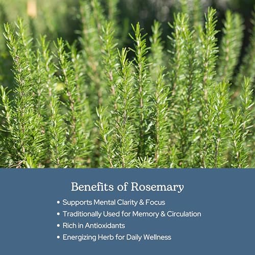 Eclectic Herb - Rosemary Capsules | Cognitive Support, Memory & Brain Health | Mood Support | Herbal Supplement | Vegan, Non-GMO, Gluten Free