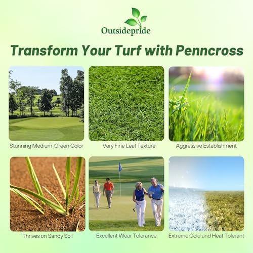 Outsidepride PC2.0 (Penncross) Creeping Bent Grass Seed – 2 lbs. Premium Golf Course Grade, Dense, Wear-Resistant Turf Grass Seeds for Tees, Putting Greens & Fairways, Ideal for High Traffic Areas