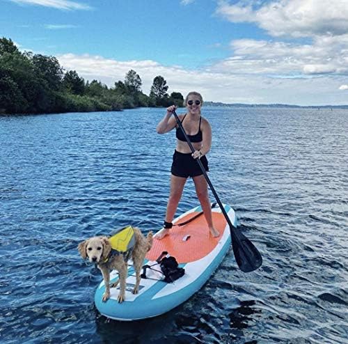 Karltion SUP Paddle - 3-Piece Adjustable Aluminium SUP Paddle with Glass Fiber Blade for Surfing, Floating, Water Sports