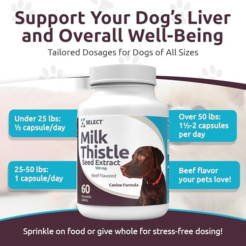 Milk Thistle for Dogs, 100mg - 60 Vegetable Capsules - Canine Liver Health Milk Thistle Supplement - Milk Herbal