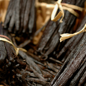 Vanilla