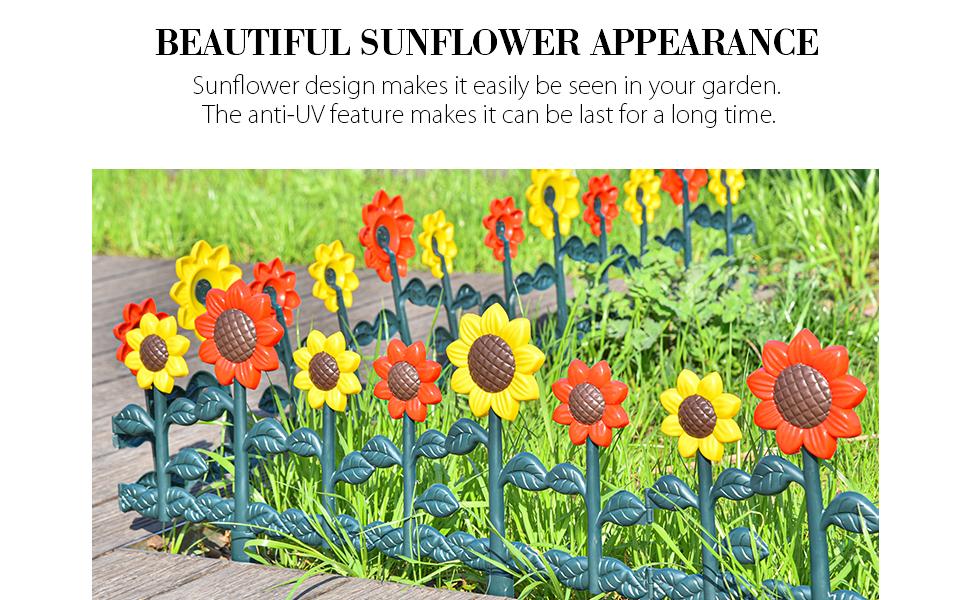 beautiful sunflower appearance