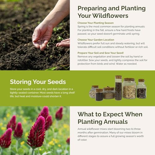 Eden Brothers The Bees Knees Pollinator Wildflower Seed Mix, 1/4 lb (135,000+ Seeds) Throw and Grow - 100% Pure, No Fillers - 18-Variety Non-GMO Annual + Perennial, Covers up to 1,100 SqFt, Zones 3-10