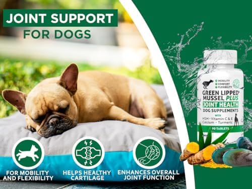 Green Lipped Mussel for Dogs – High Strength Hip & Joint Supplement for Dogs with Omega-3 – Supports Dog Joint Health