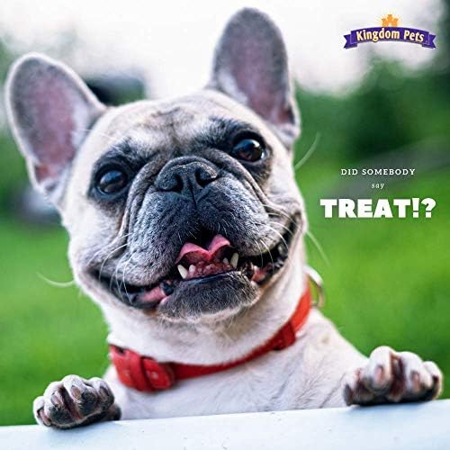Chicken Jerky Dog Treats with Only 3 Ingredients and No Fillers, 3 Pound Bag