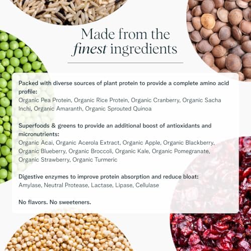 Ora Organic Plant-Based Protein Powder - 23g Protein for Women and Men - Vanilla Flavor 20 Servings, Vegan, Clean Protein, Third-Party Tested, Gluten-Free - 20 Servings