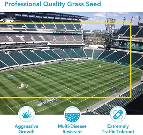 Barenbrug Turf Blue Healthy Grass Technology Grass Seed with Yellow Jacket Coating - Heavy Traffic Seed for Use on Sports Fields, Golf Courses, Parks