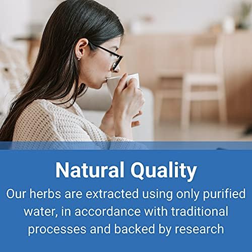 Bearded Scutellaria Herb - Ban Zhi Lian (5:1 Concentrated Herbal Extract Granules, 100g)
