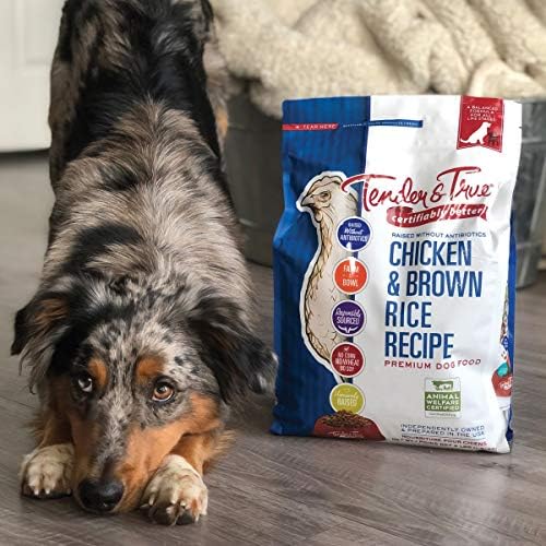 Tender & True Antibiotic-Free Chicken & Brown Rice Recipe Dog Food, 11 lb