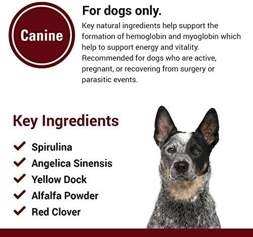 Blood & Energy Dog Supplement – Pet Health Supplement for Dogs – Supports Canine Endurance – Includes Spirulina, Yellow Dock