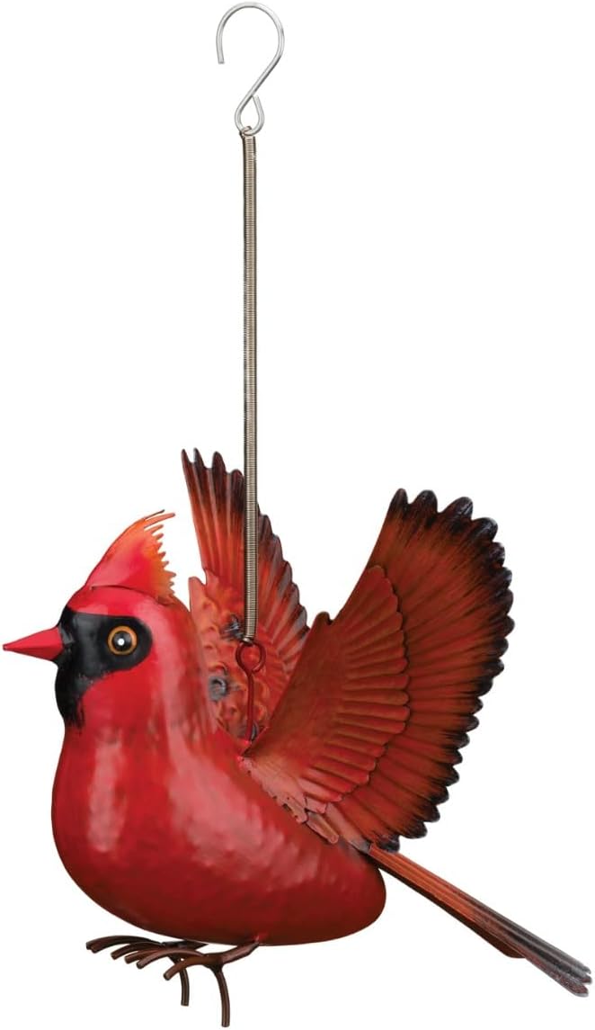 Regal Art & Gift Bird Bouncie, Hand-Painted Metal Spring Garden Decor