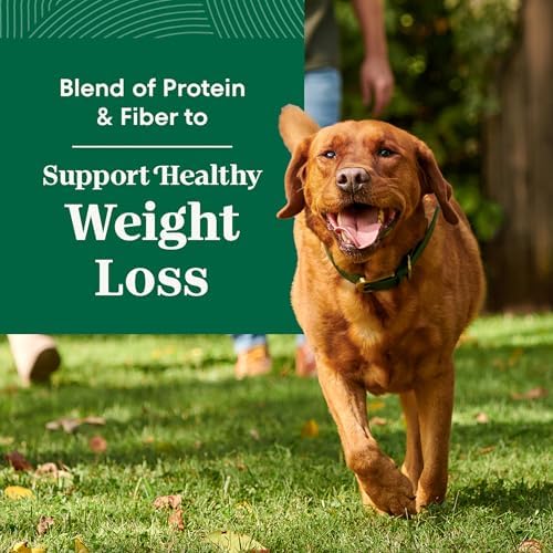 Nutro Natural Choice Healthy Weight Dry Dog Food, Chicken & Rice, 30 lb | Non-GMO, Chicken #1 ingredient, no corn, wheat, soy, supports weight loss, skin & coat, digestive & immune health